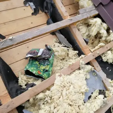 uszkodzona izolacja przez kuny – przed naprawą