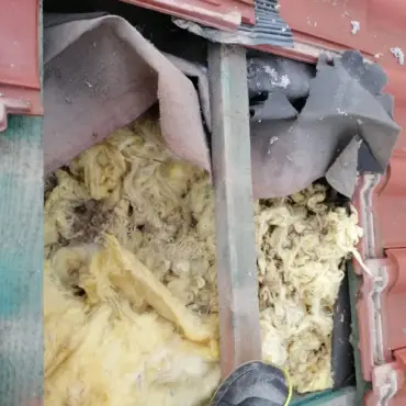 uszkodzony dach kuny – przed naprawą