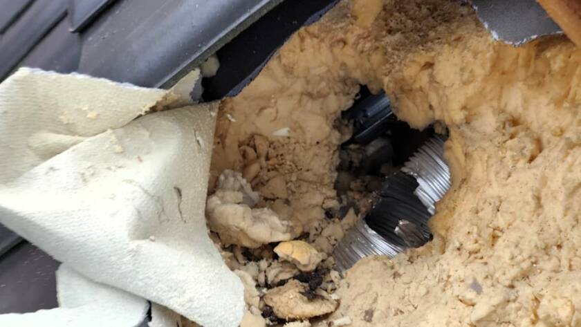 Kuna wygryzła rurę wentylacyjną w izolacji poddasza